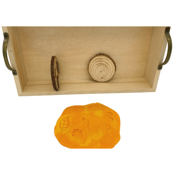 Nature Dough Stamps - Wood Slices