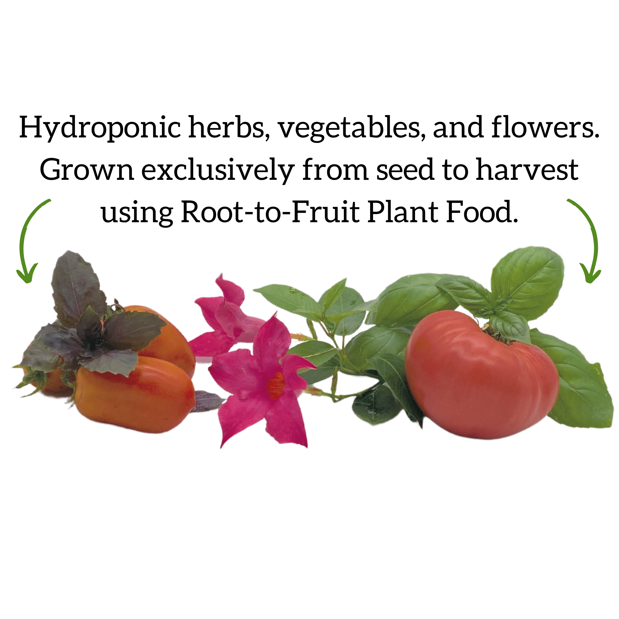 Root-to-Fruit Plant Food (all hydroponically grown fruits and vegetables)